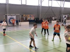 2.2.2018 - 3.kolo THA Cup minihádzaná 2018/2019