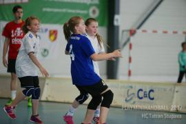 12.-14.5.2017 - THA Martin na Playminihandball.com