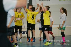 18.-20.5. - Playminihandball v Stupava - strieborné medaile