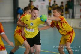 18.-20.5. - Playminihandball v Stupava - strieborné medaile