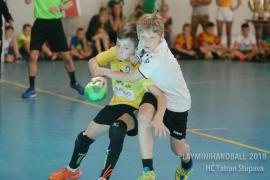 18.-20.5. - Playminihandball v Stupava - strieborné medaile