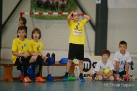 18.-20.5. - Playminihandball v Stupava - strieborné medaile